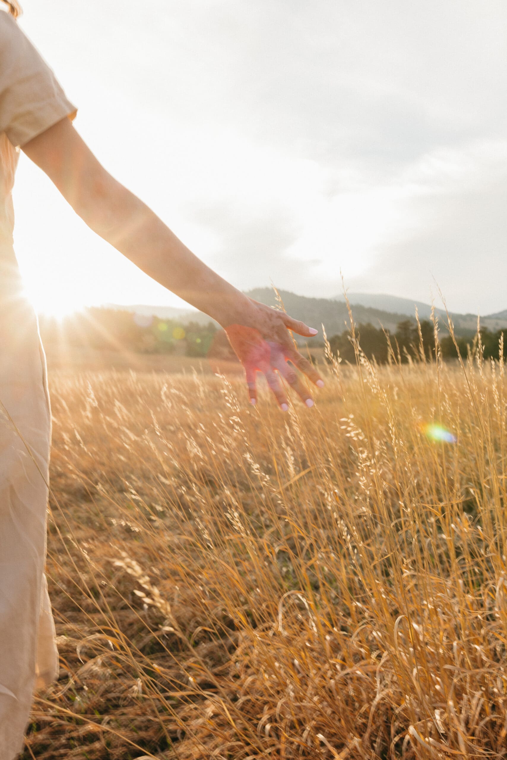 hand moving through grass during sunset